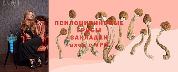 2c-b Ладушкин