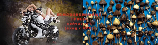 ГАЛЛЮЦИНОГЕННЫЕ ГРИБЫ Балахна