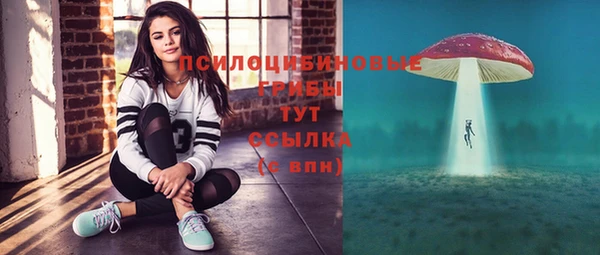 2c-b Ладушкин